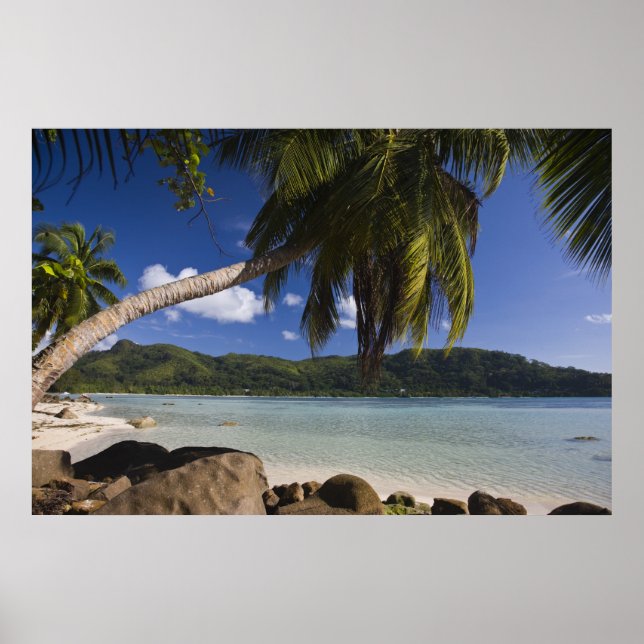 Seychelles, Mahe Island, Anse a la Mouche Poster (Front)