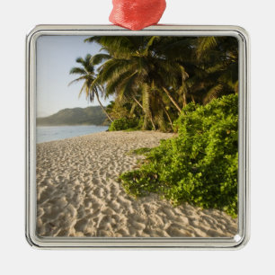Seychelles, Mahe Island, Anse Marie-Louise Metal Tree Decoration