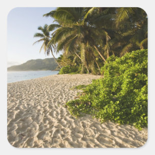 Seychelles, Mahe Island, Anse Marie-Louise Square Sticker