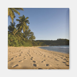 Seychelles, Mahe Island, Anse Takamaka beach, 2 Magnet