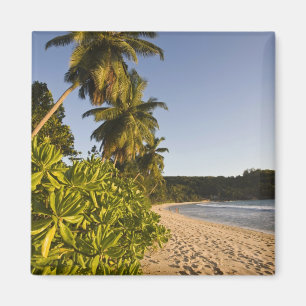 Seychelles, Mahe Island, Anse Takamaka beach, Magnet