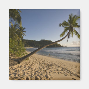 Seychelles, Mahe Island, Anse Takamaka beach, Magnet
