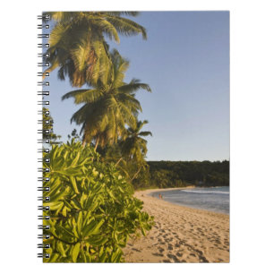 Seychelles, Mahe Island, Anse Takamaka beach, Notebook