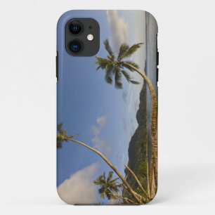 Seychelles, Mahe Island, horizontal palm, iPhone 11 Case