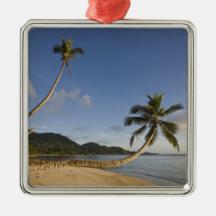 Seychelles, Mahe Island, horizontal palm, Metal Tree Decoration