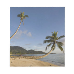 Seychelles, Mahe Island, horizontal palm, Notepad