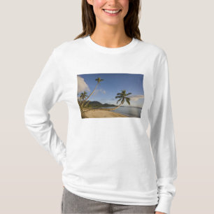 Seychelles, Mahe Island, horizontal palm, T-Shirt