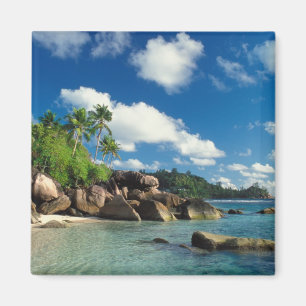 Seychelles, Mahe Island, Lazare Bay Magnet