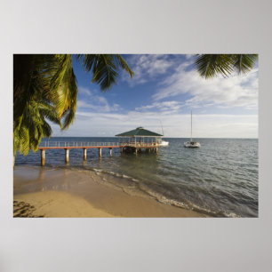 Seychelles, Praslin Island, Anse Bois de Rose, Poster