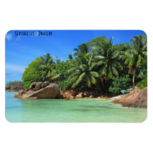 Seychelles - sand beach with palm trees on island