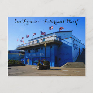SF Aquarium of the Bay #4-1 Postcard