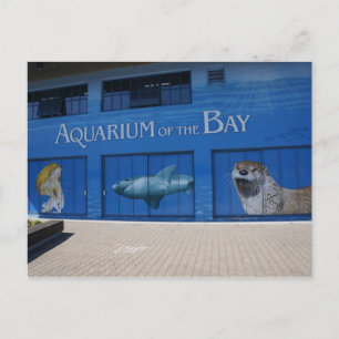 SF Aquarium of the Bay Postcard