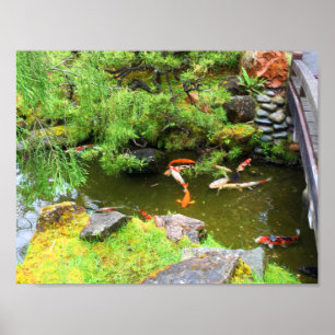 SF Japanese Tea Garden Koi Pond #3 Poster