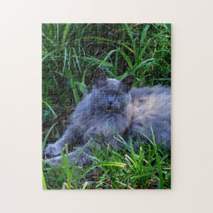 Sgolis Grey Maine Coon Cat Challenging Photo Jigsaw Puzzle