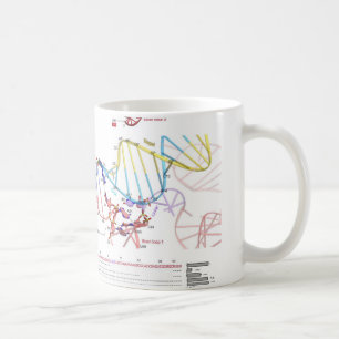 sgRNA and Its Target DNA Coffee Mug