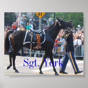 Sgt. York The Riderless Horse Poster