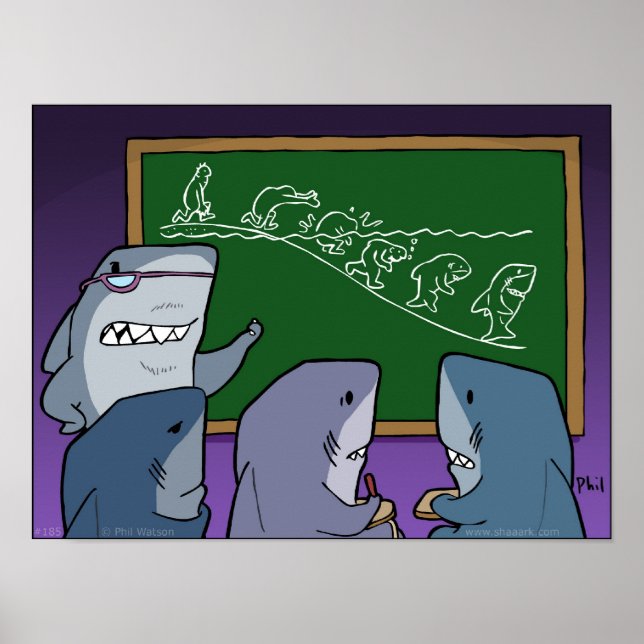 Shaaark! evolution poster (Front)