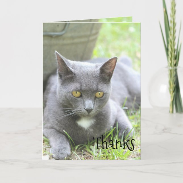 Shabby Chic Card (Front)