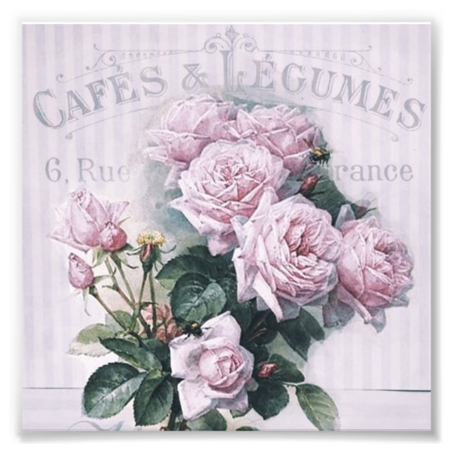 shabby chic, decoupage, victorian, french chic, pa photo print (Front)