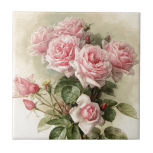 Shabby Chic Pink Victorian Roses Tile