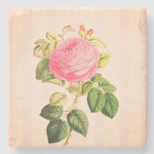 Shabby Chic Pink Vintage Rose Marble Coaster