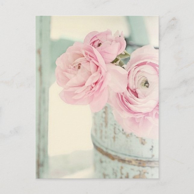 Shabby Chic Pitcher of Pink Flowers Postcard (Front)