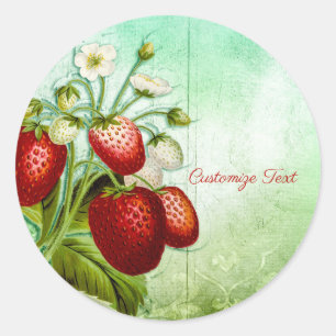 Shabby Chic Strawberry Patch Personalize Classic Round Sticker