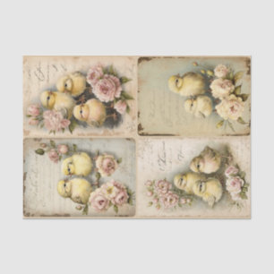 Shabby Chicks  Tissue Paper