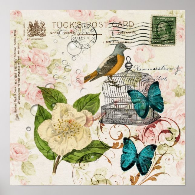 shabby elegance camellia french bird butterfly poster (Front)
