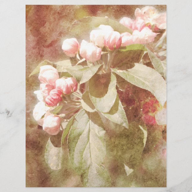 Shabby Pink Apple Blossom Scrapbook Paper (Front)