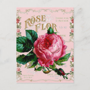 SHABBYCHIC English Rose vintage pink Postcard