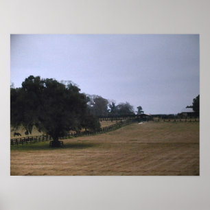 Shade ~Print~ Poster