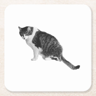 Shaded Cat Coaster Boosts Comfort At Gatherings