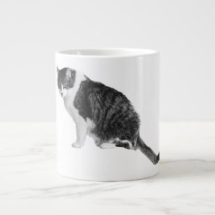 Shaded Cat Sit Mug Adds Gentle Confidence To Days