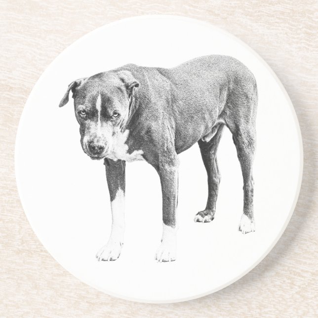 Shaded Pit Bull Table Coaster (Front)
