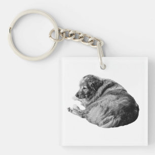 Shaded Rest Dog Inspires Gentle Winter Travels Key Ring