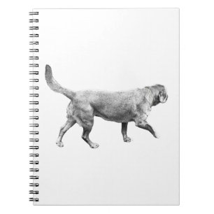 shadepath steady stride notebook
