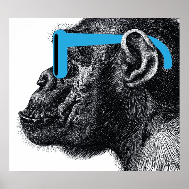 Shades Funny Poster (Front)