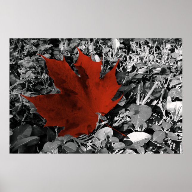 shades of autumn poster (Front)