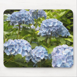 Shades of Blue Hydrangeas Mouse Pad