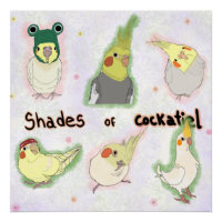 Shades of Cockatiel