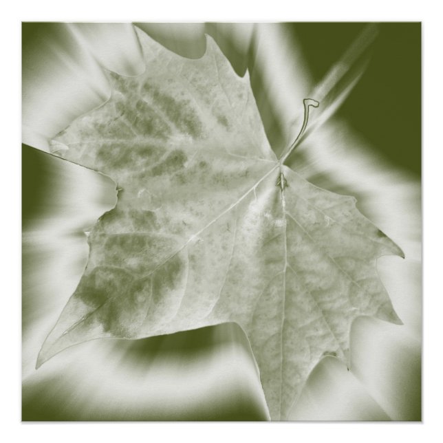 shades of green poster (Front)