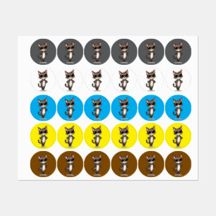 Shades of Independence