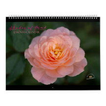Shades of Pink 12-Month Calendar