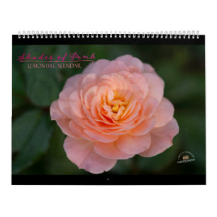 Shades of Pink 12-Month Calendar