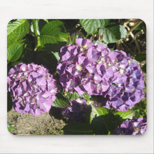 Shades of Purple Hydrangea Mouse Pad