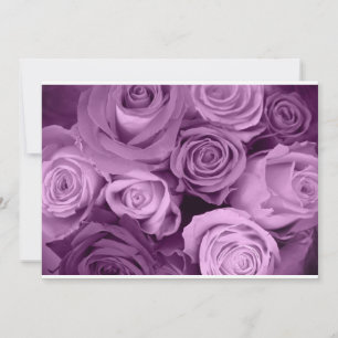 Shades of Purple Roses