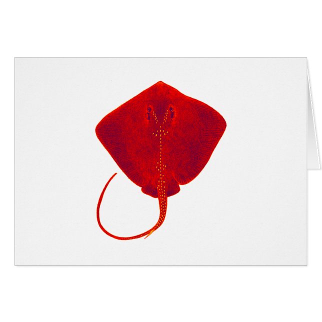 SHADES OF RED (Front Horizontal)