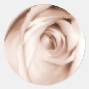 shades of red rose sticker