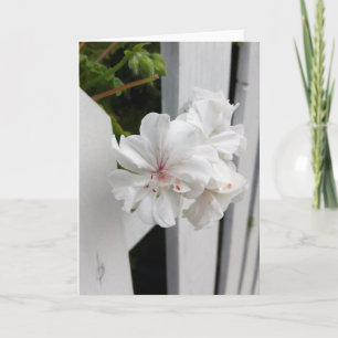 shades of white card